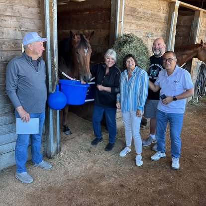 Investors meeting a CTF horse on a barn visit